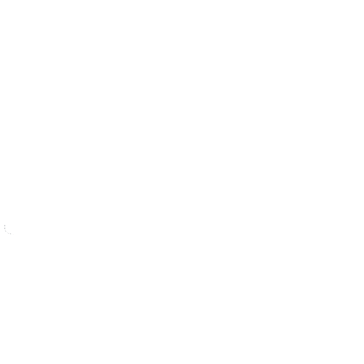 Arnik Logo